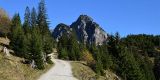 Tour in Italy: Trekking on the path from Cortina d'Ampezzo to cinque torri - pic 3